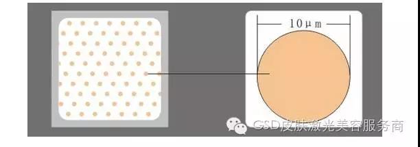 1512002211144359.jpg 24.jpg