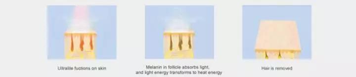 1554857947281044.jpg 17.jpg