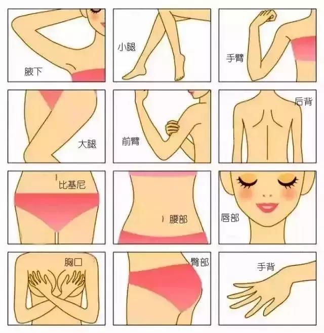 1564121324721008.jpg 10.jpg