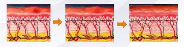 1566800496401120.jpg 2.jpg