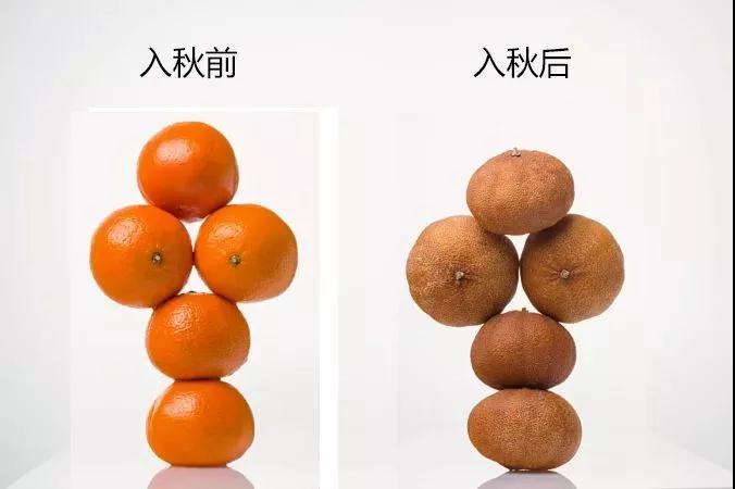 微信图片_20190929102004.jpg