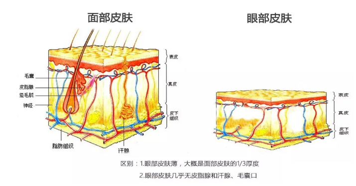 1605925538782279.png image.png