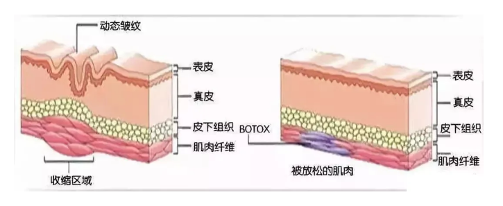 1605925573316222.png image.png