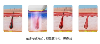 1611016863271210.png image.png