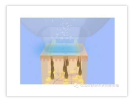 1611016888184925.png image.png