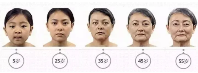 1627455911255264.png image.png