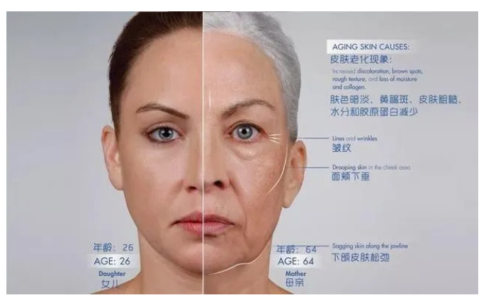 1627455966248372.png image.png